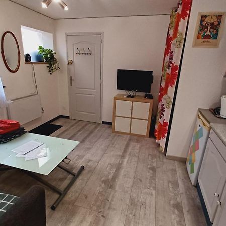 Studio Cosy Tout Confort Gaillac Centre. Exterior foto